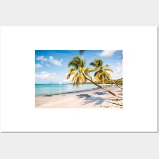 Famous Les Salines Beach In Martinique Posters and Art